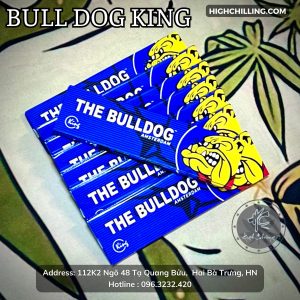 Giấy Auth Bull Dog King