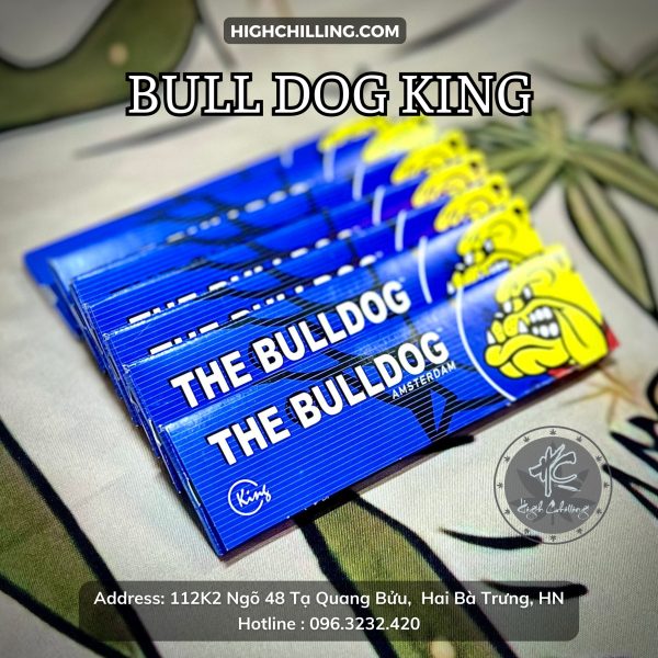 Giấy Auth Bull Dog King