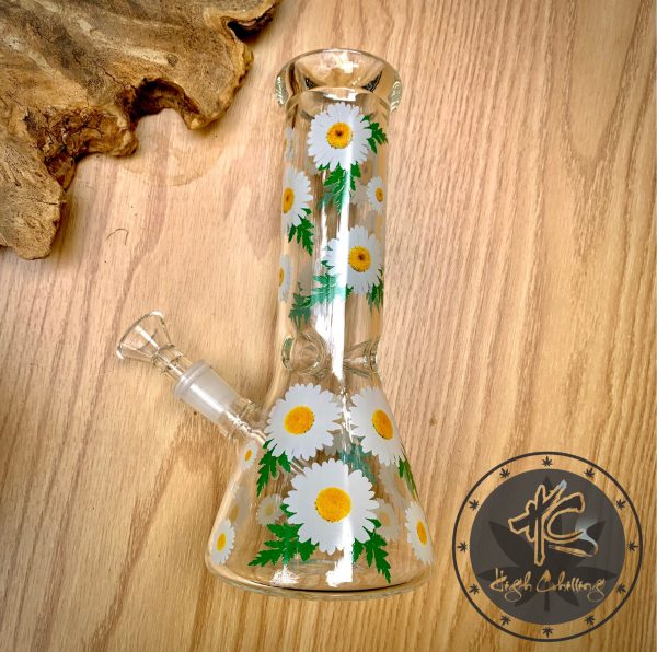 Bongs TT Cúc Hoạ Mi Bầu Nón