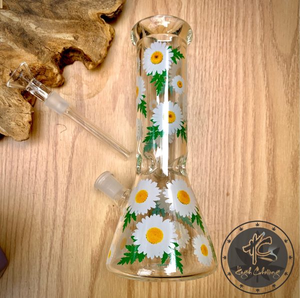 Bongs TT Cúc Hoạ Mi Bầu Nón