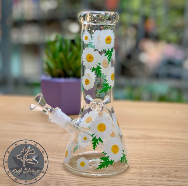 Bongs TT Cúc Hoạ Mi Bầu Nón