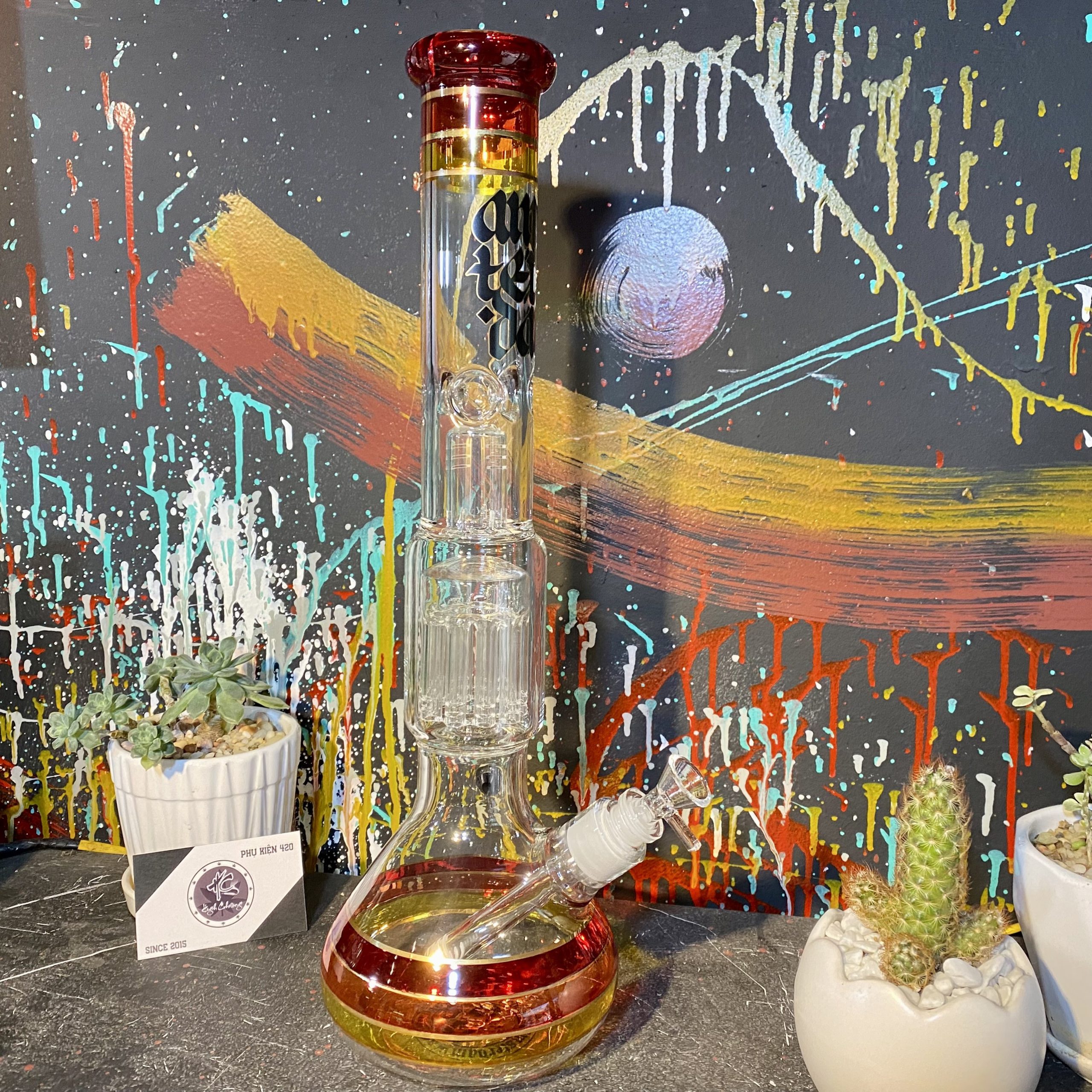 Bongs TT Grace Amsterdam Bầu Nón