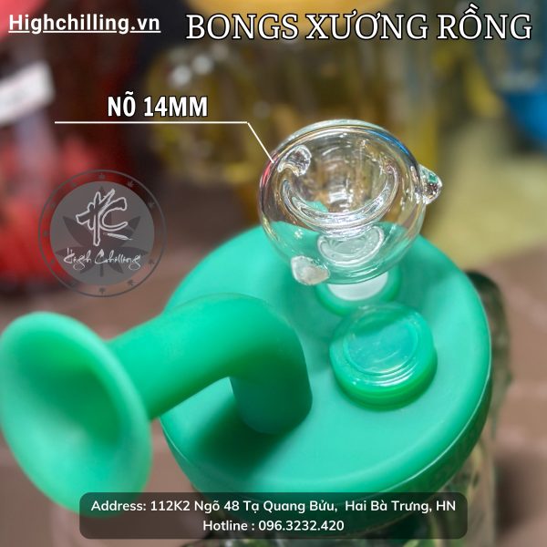 Bongs TT Xương Rồng