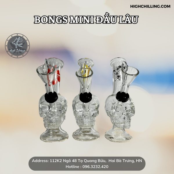 Bongs Thủy Tinh Mini Đầu Lâu