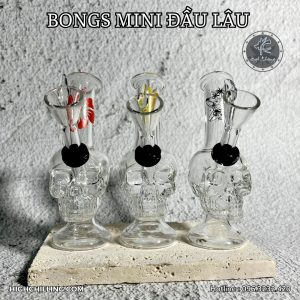 Bongs Thủy Tinh Mini Đầu Lâu