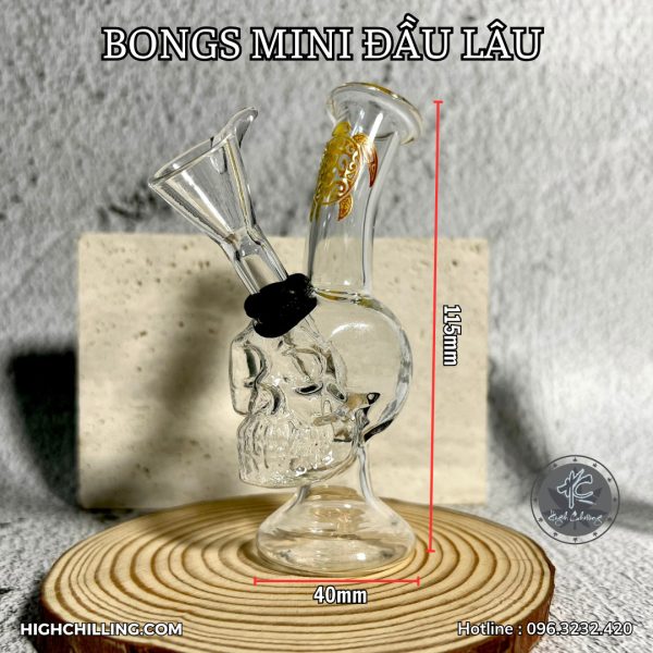 Bongs Thủy Tinh Mini Đầu Lâu