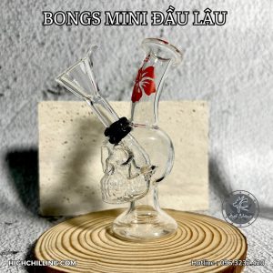 Bongs Thủy Tinh Mini Đầu Lâu